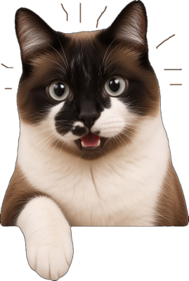 my cat
